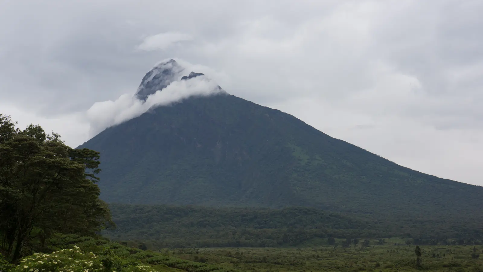 A steep forested volcano rises into low cloud above dense green lowland forest.
