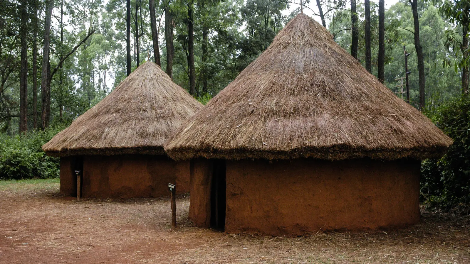 Two round mud huts with thick thatched roofs stand on swept red earth.