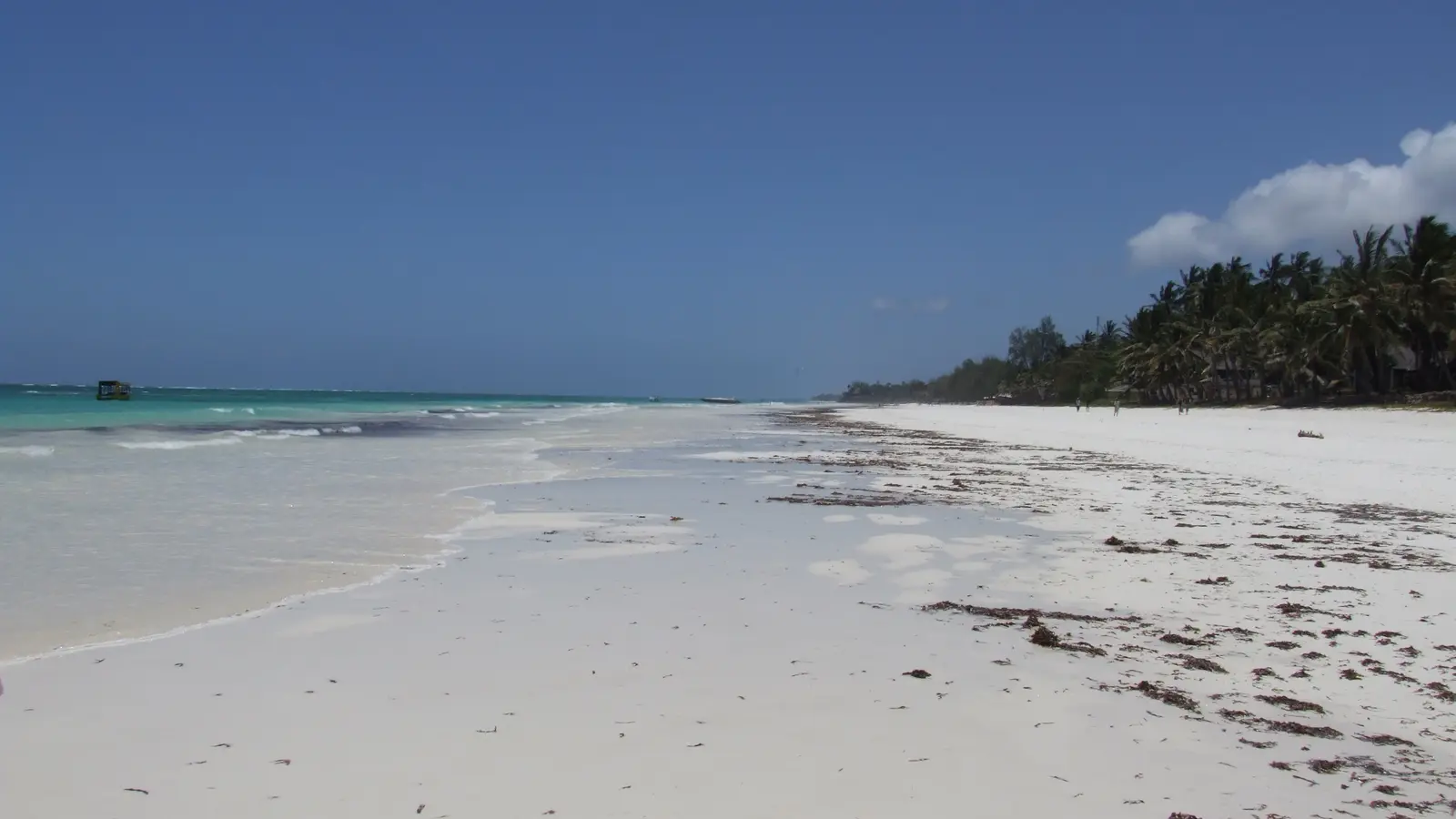 Shallow clear water meets a wide band of white sand with palms along the shore behind.