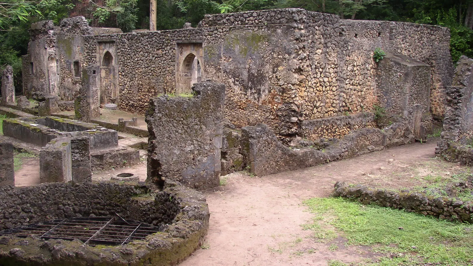 Roofless coral stone walls and arched doorways stand among forest trees at the Gedi ruins.