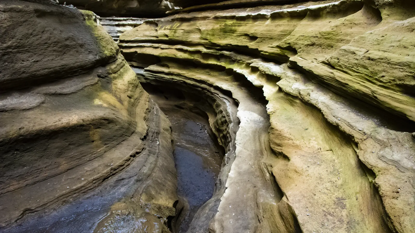 Water-worn sandstone walls curve above a narrow stream running through the gorge.