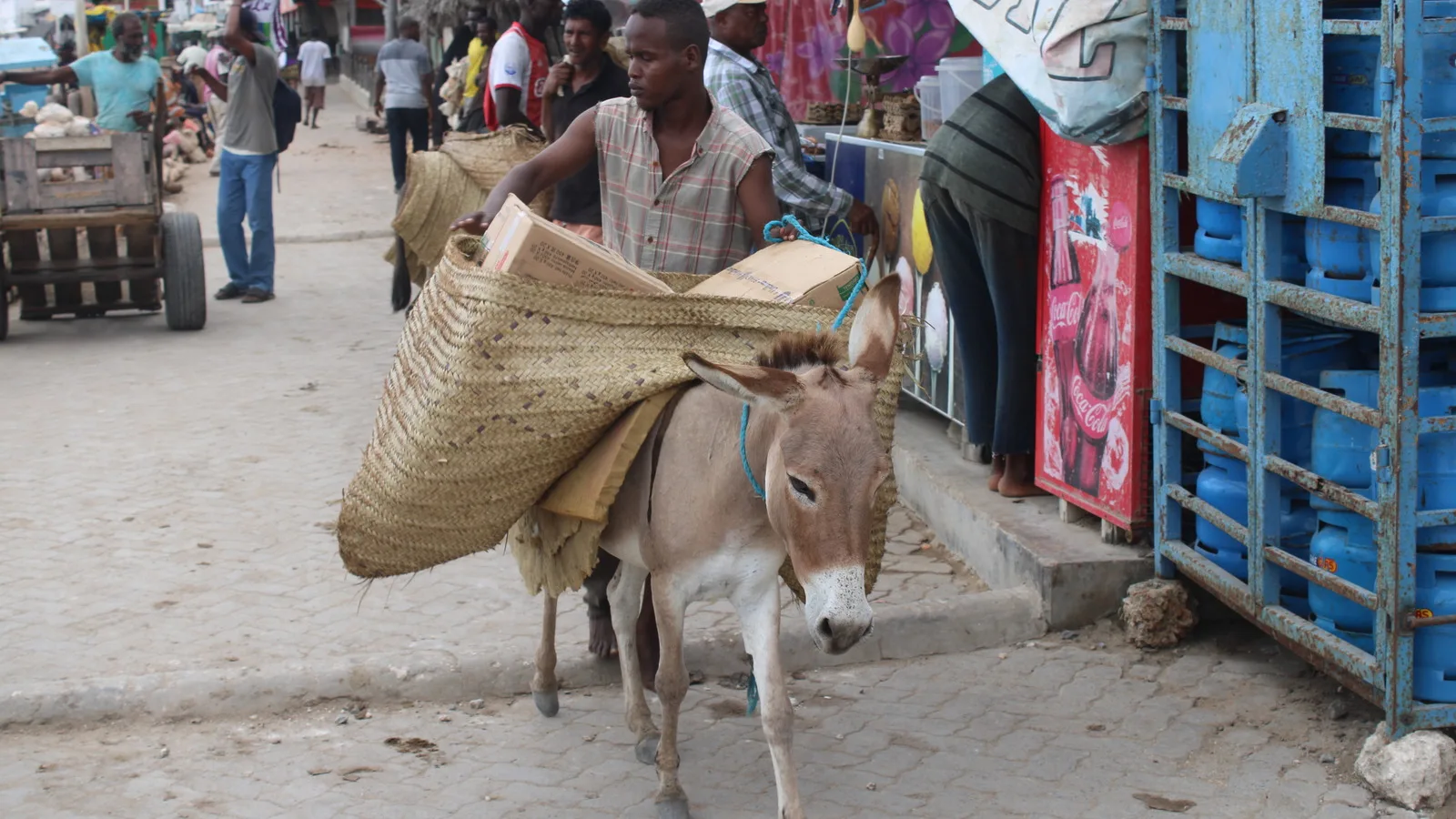 A man leads a donkey loaded with woven panniers and boxes along a paved street in Lamu.