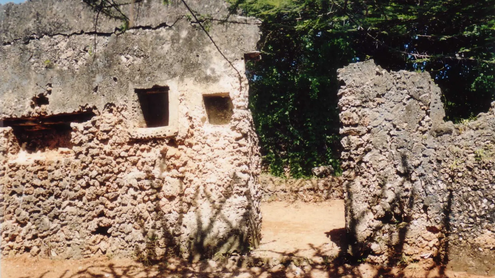 Roofless coral-rag walls with square window openings stand in dappled shade.