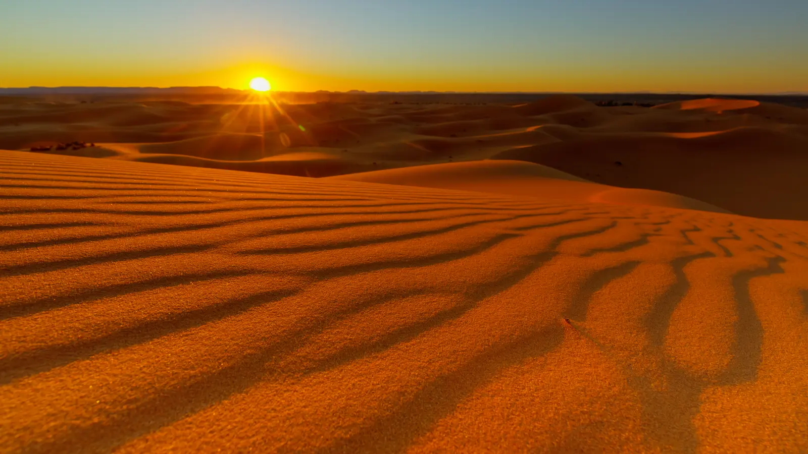Low sun rakes across rippled orange sand dunes running to a flat desert horizon.