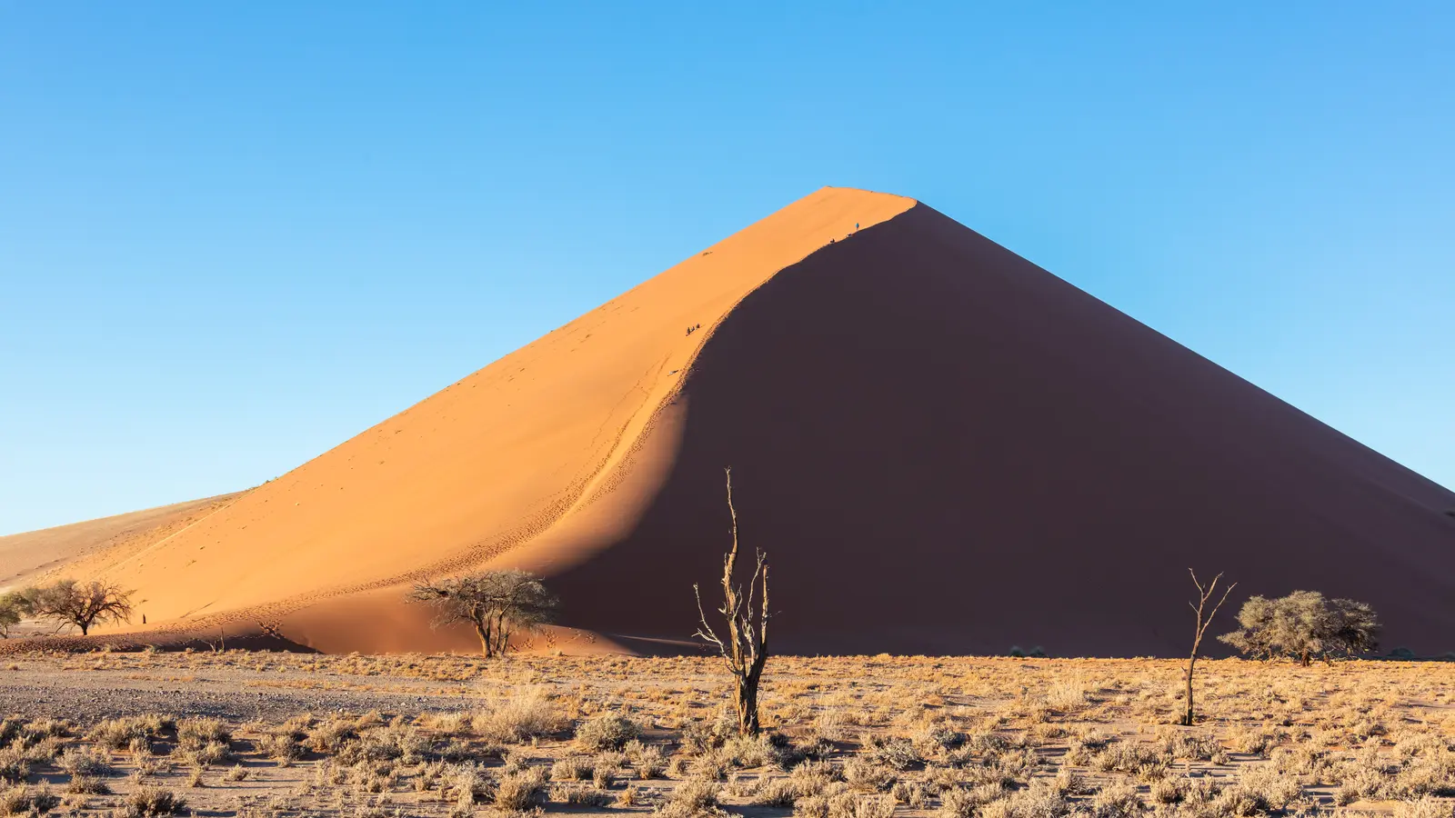 A tall red sand dune rises in a sharp ridge above pale desert scrub under clear blue sky.