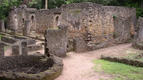Roofless coral stone walls and arched doorways stand among forest trees at the Gedi ruins.
