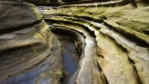 Water-worn sandstone walls curve above a narrow stream running through the gorge.