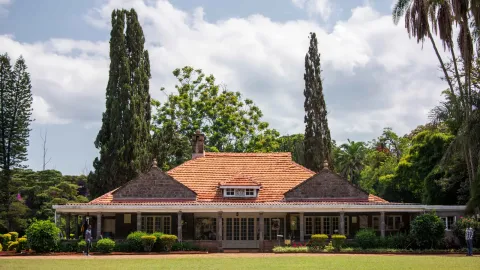 A tiled-roof stone house with a long verandah stands behind lawn and tall cypress trees.