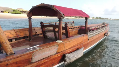 A varnished wooden boat with a red canopy lies moored off a sandy shore.