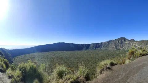 Forest fills a wide volcanic caldera ringed by steep rock walls under blue sky.