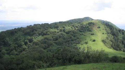 A green ridge with a worn footpath along its crest falls away to forest below.